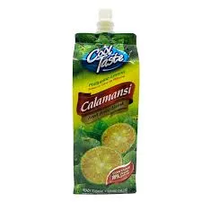 Cool Taste Mangue 500ml